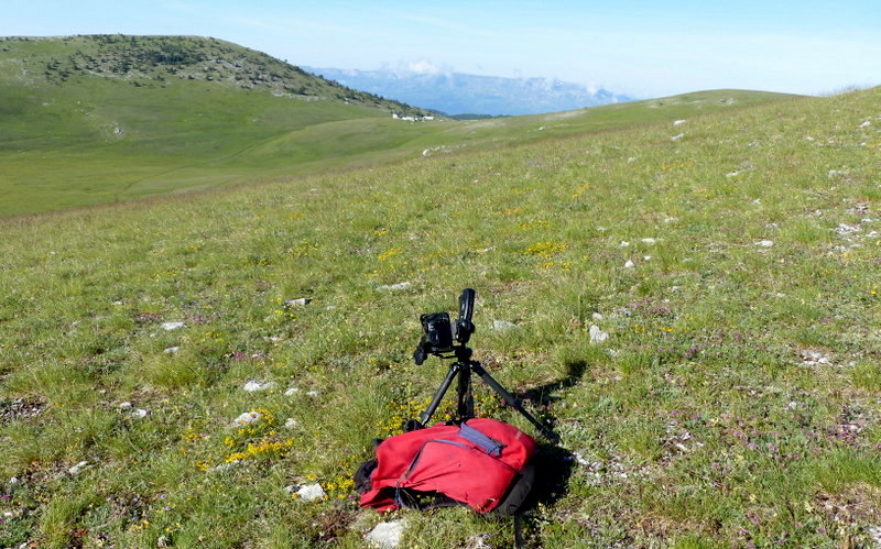 Orchidee a Campo Imperatore tra Medioevo e wilderness  primavera 2023